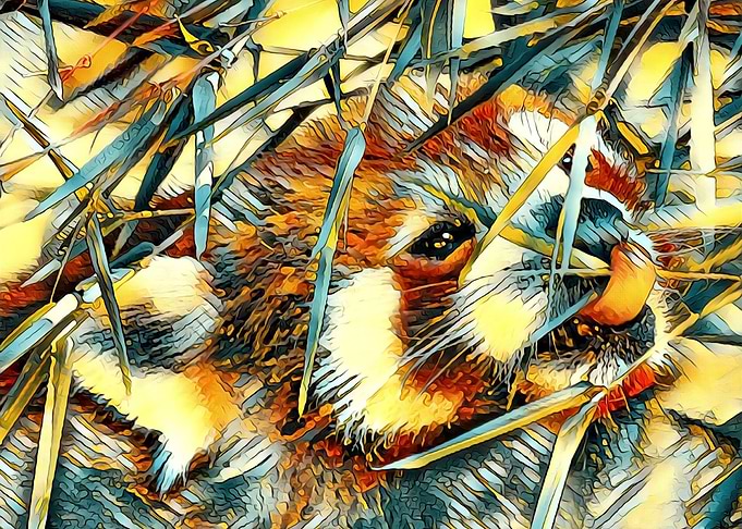 AnimalArt RedPanda 001