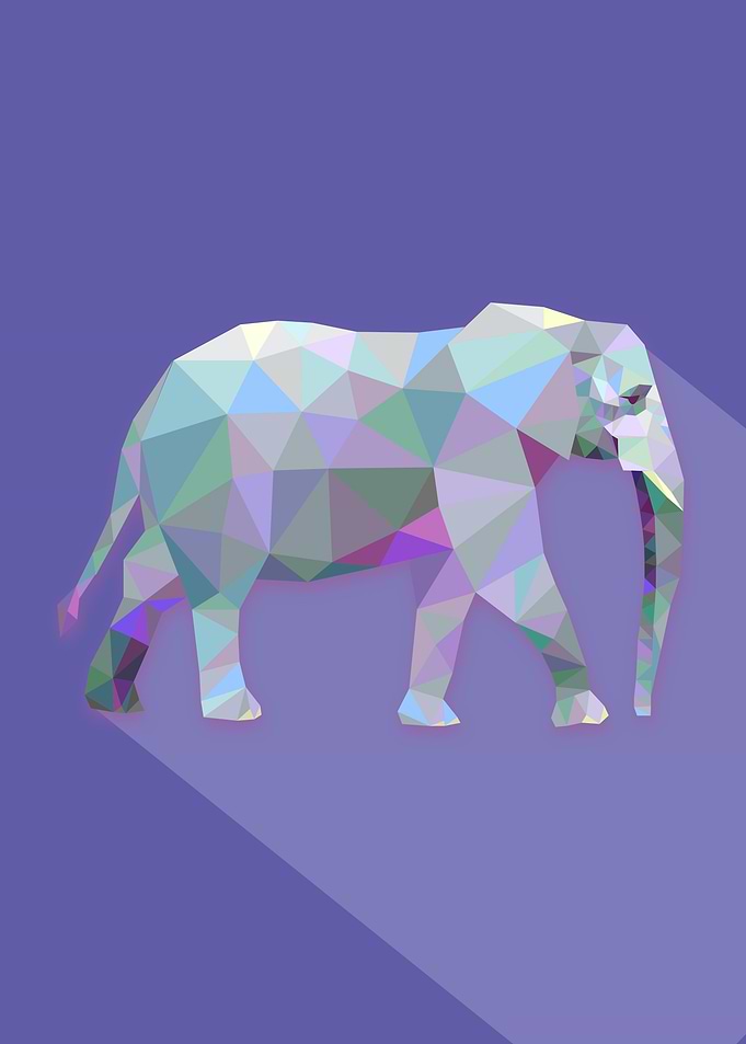 Elephant Triangle Dessign