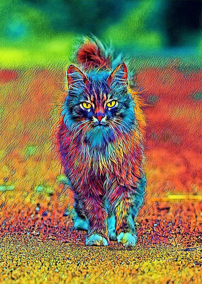 AnimalColor Cat 002