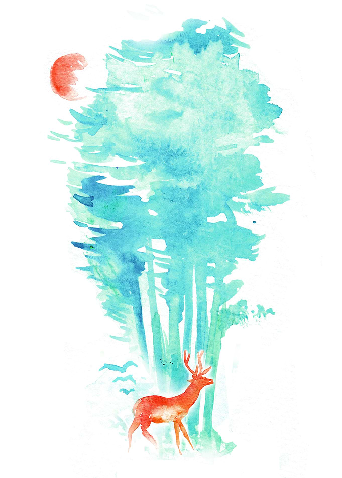 Summer in the Woods