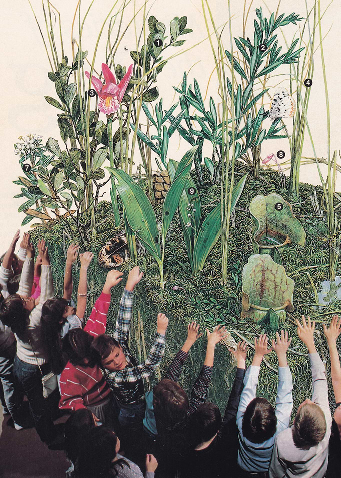 Grow Up [collage]