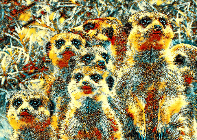 AnimalArt Meerkat 001