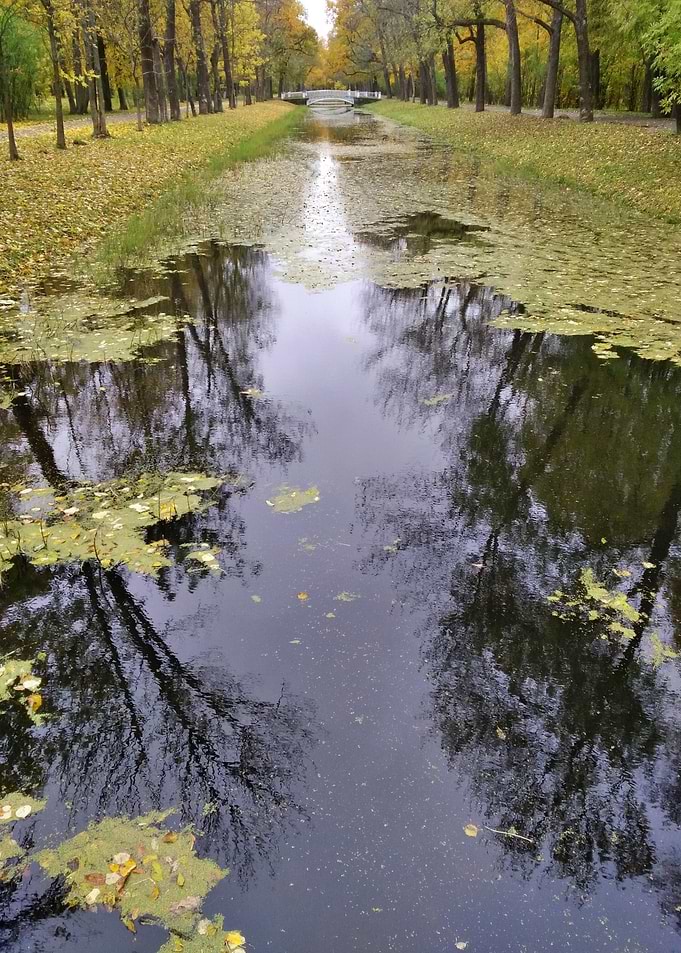The Little Bridge