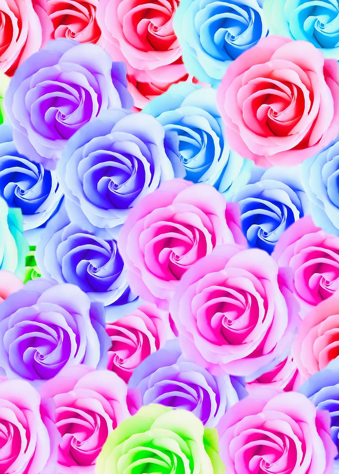 colorful rose pattern