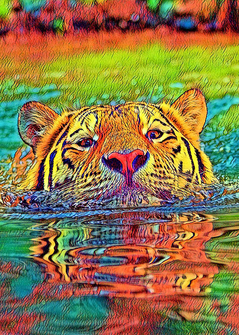 AnimalColor Tiger 001