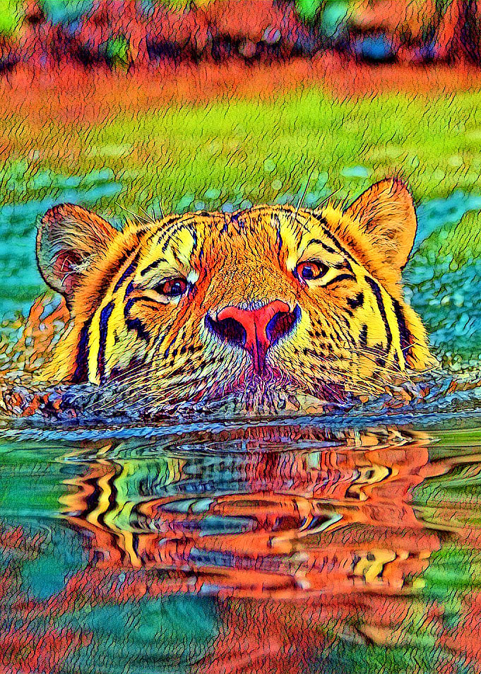 AnimalColor Tiger 001