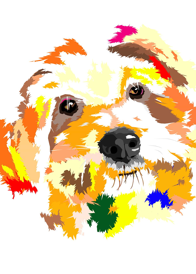 Pup
