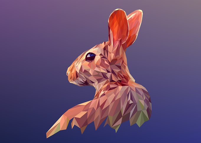 rabbit
