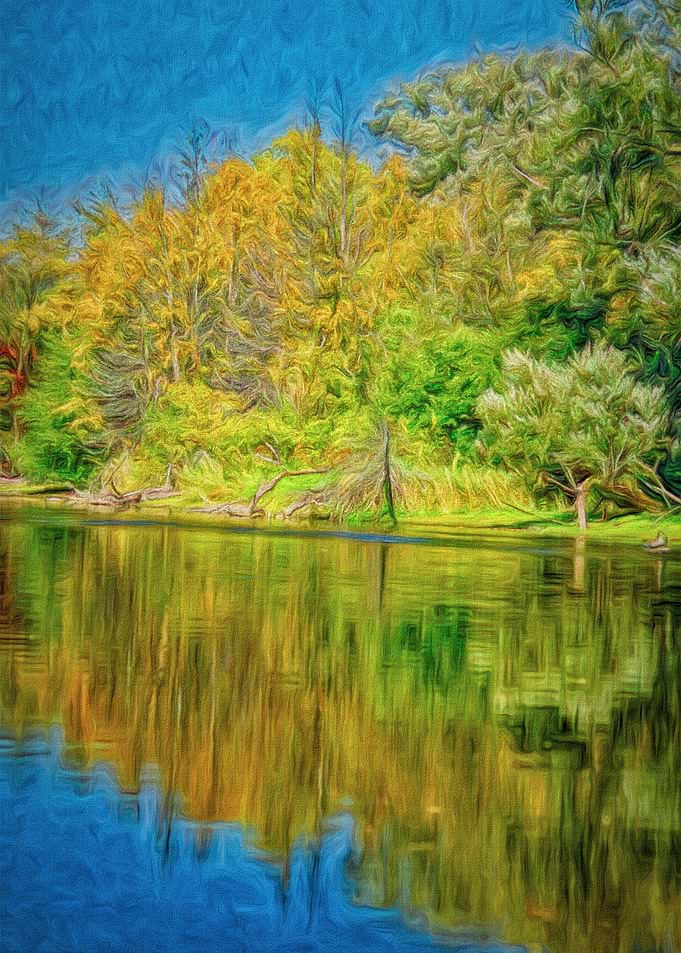 Autumn Reflections