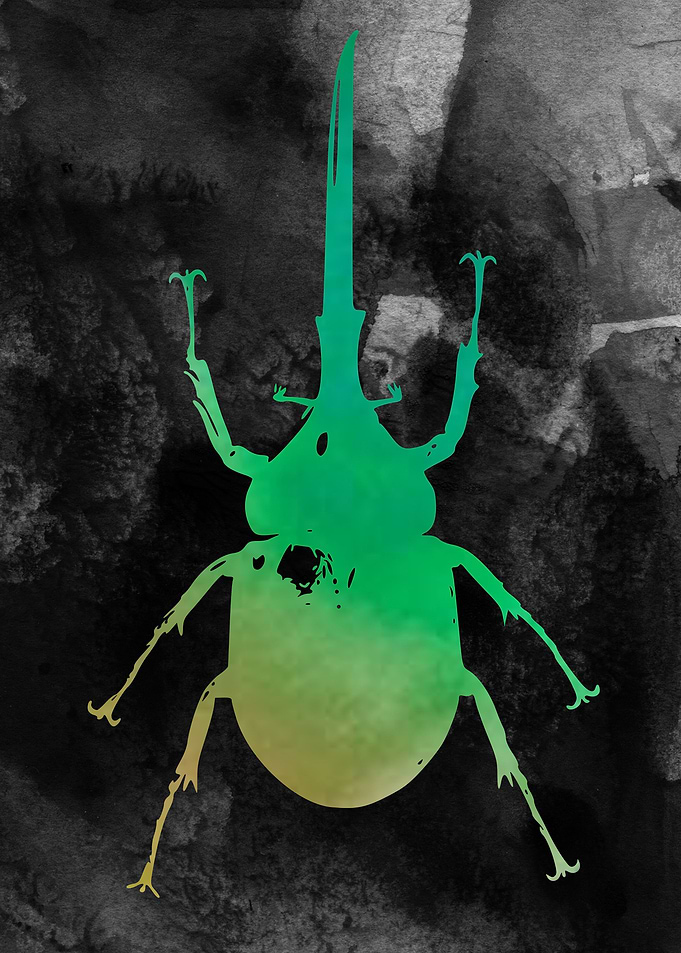 Beetle Watercolor Atwork