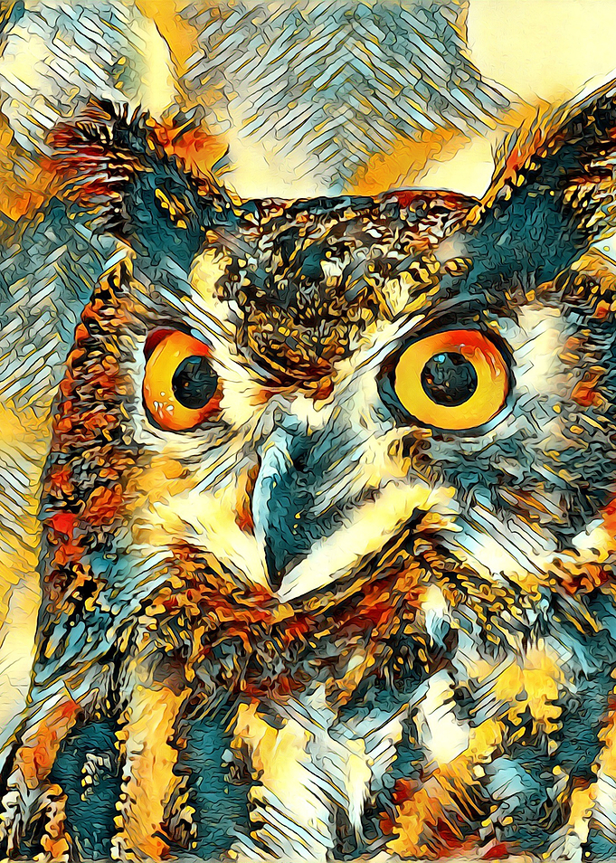 AnimalArt Owl 001