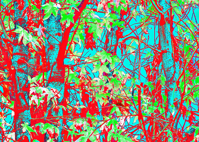 maple leaves texture