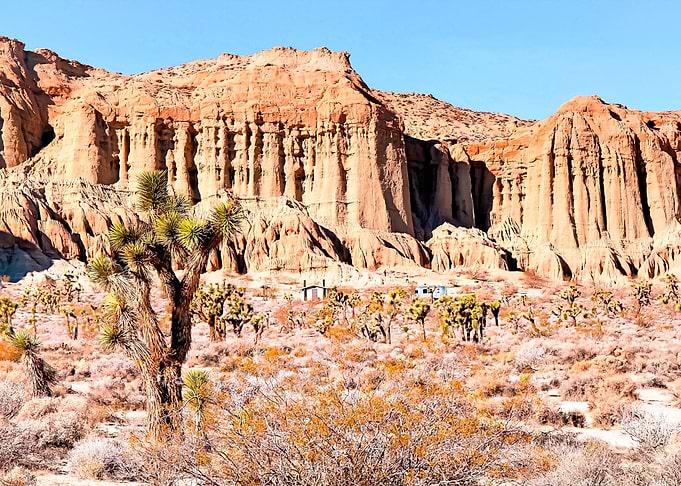 desert in California USA
