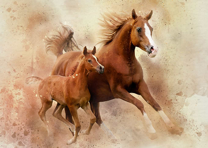 Horses