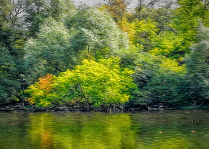 Burst of Colour