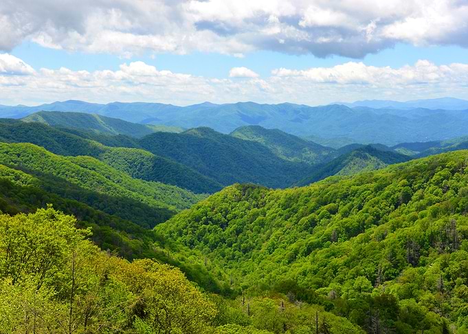 Smokey Mountain spring