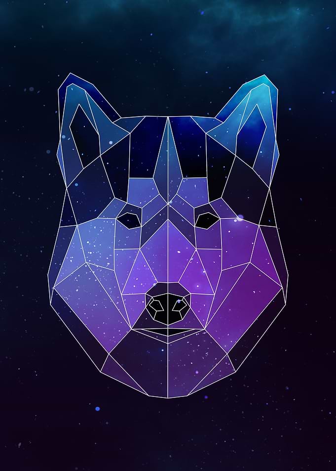 Galaxy Husky