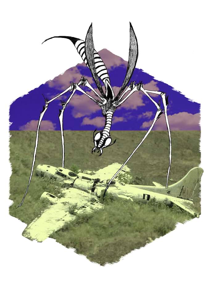 Carrion Wasp