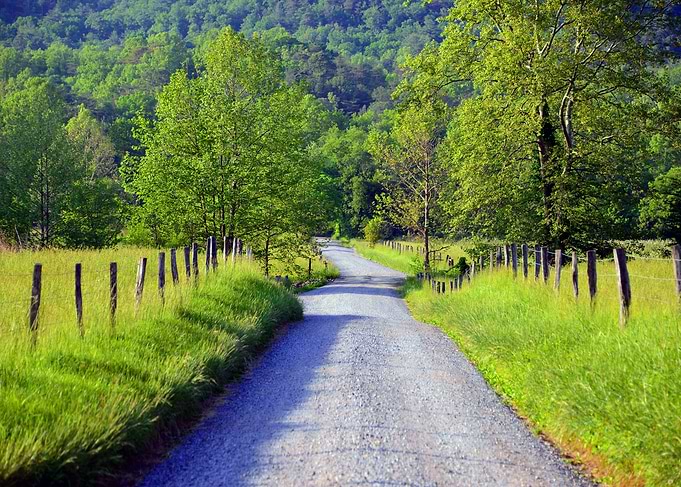 Country roads