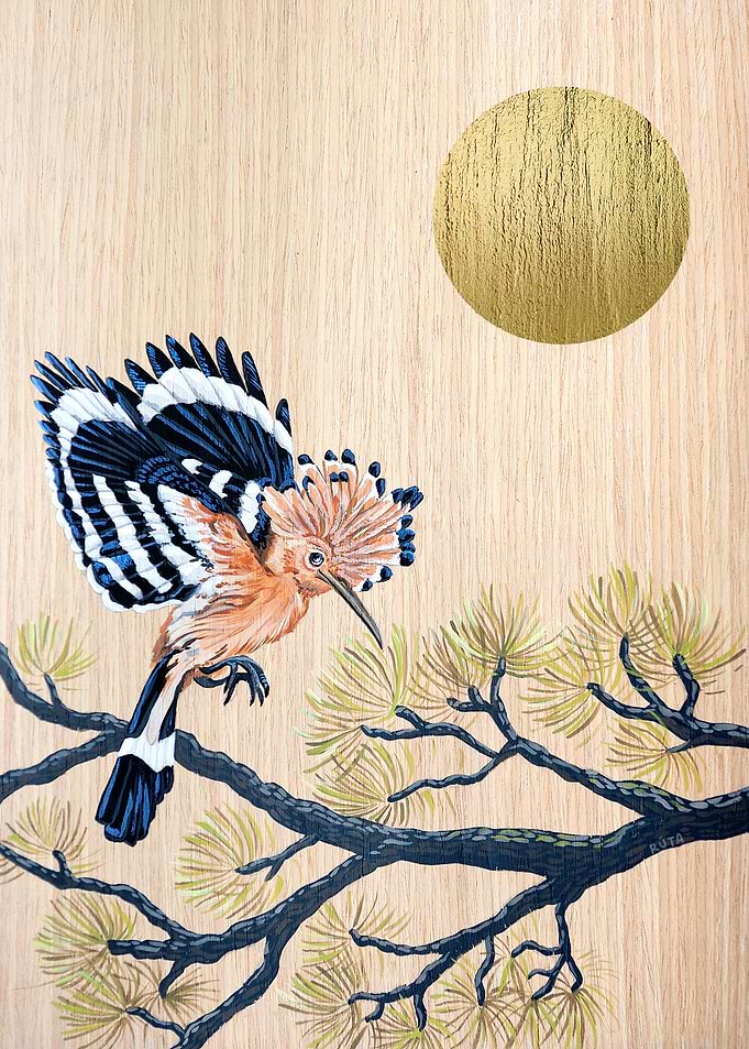 Hoopoe bird golden sun