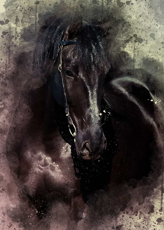 Horse 2