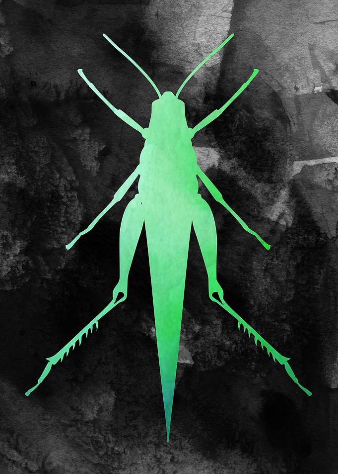 Grasshopper Watercolor Art