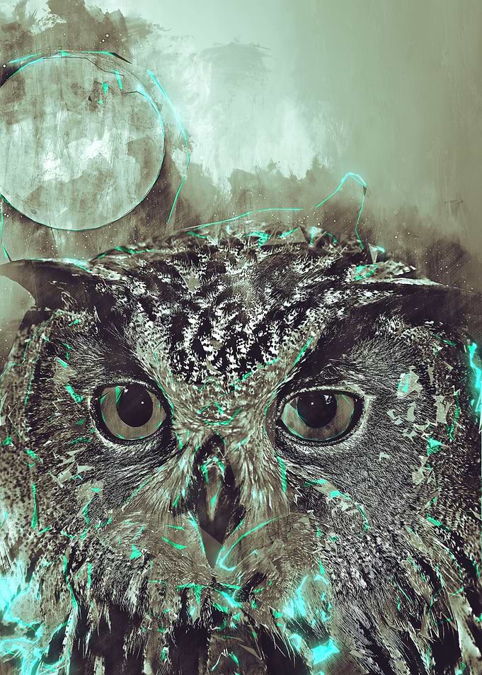 Owl 2