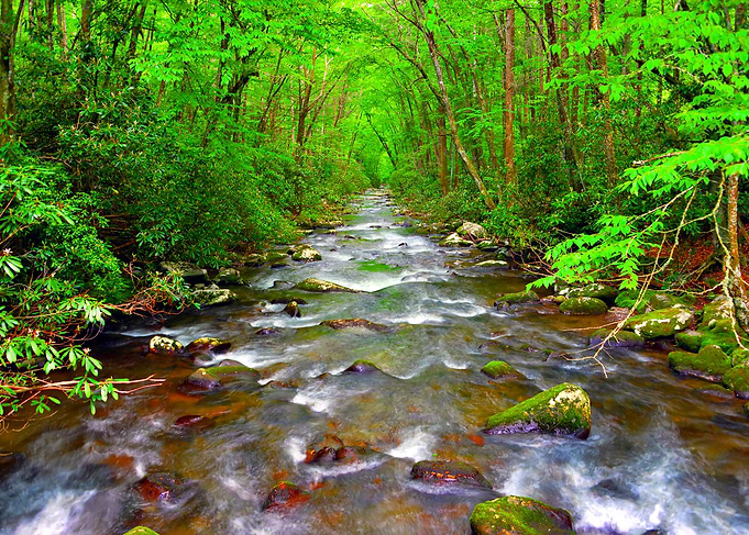 Smokey Mountain river