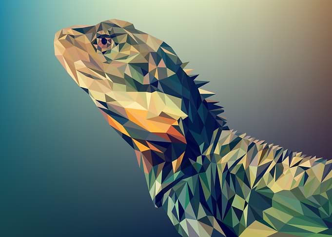 lizard