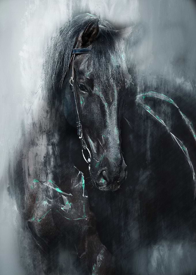 Horse 2