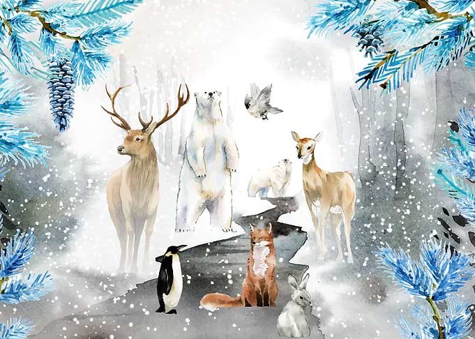 Wildlife winter 4