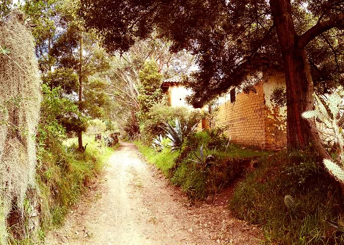 Road Uphill