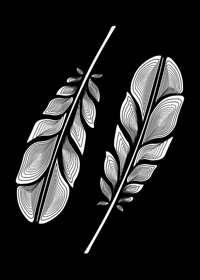 Feathers