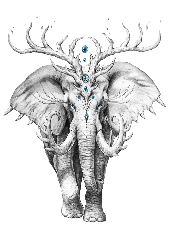 Elephant Soul