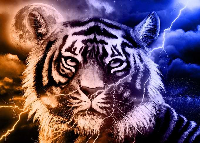 Tiger Galaxy