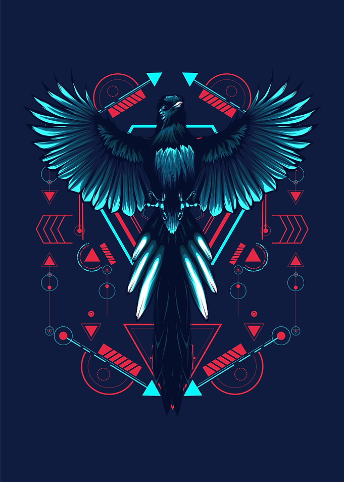Cosmic Bird geometry