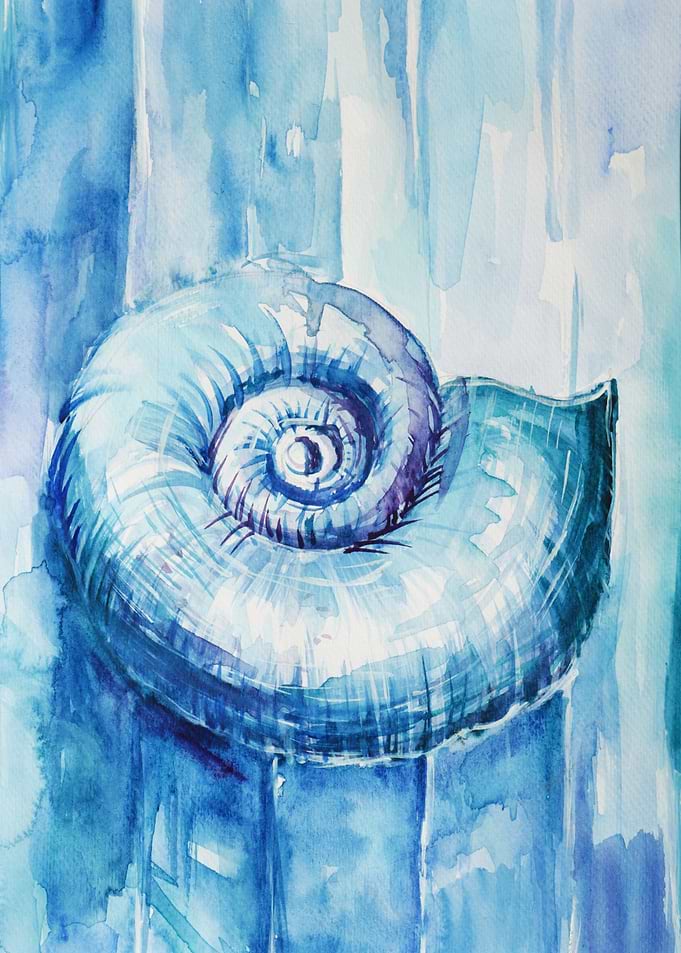 Sea Shell Ocean 1