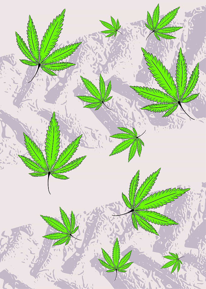 Cannabis Rain