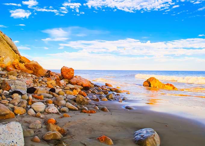 summer beach in California