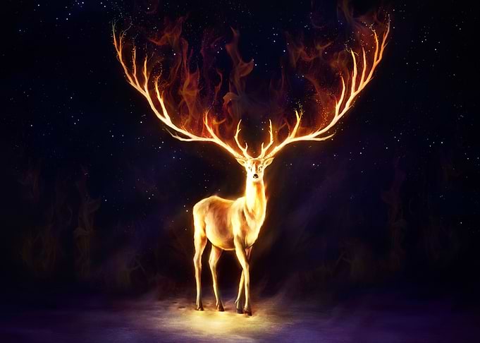 Firewalker