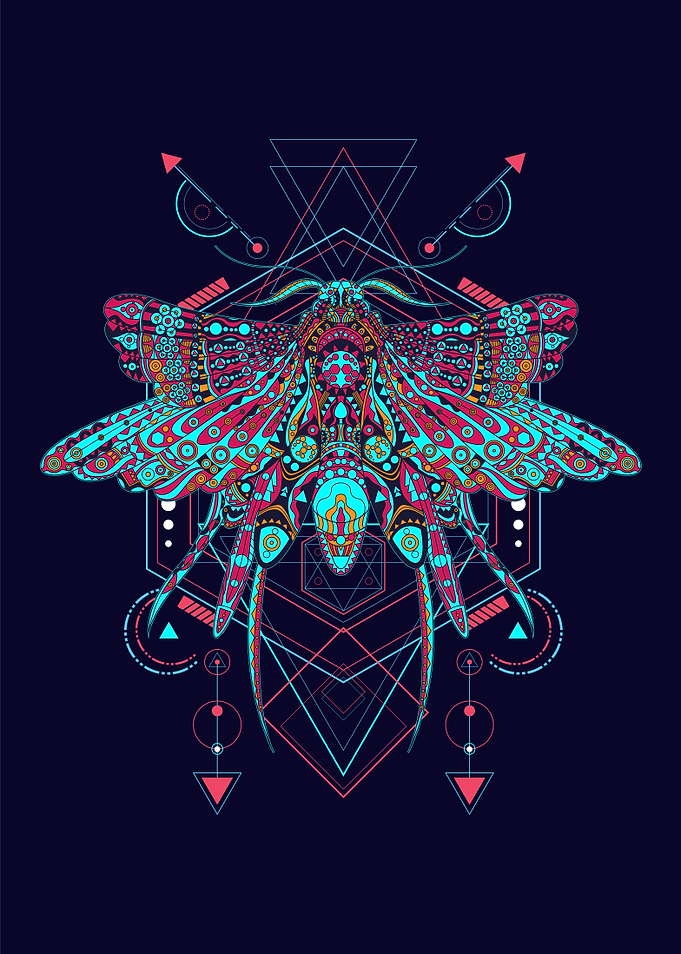 Insect mandala