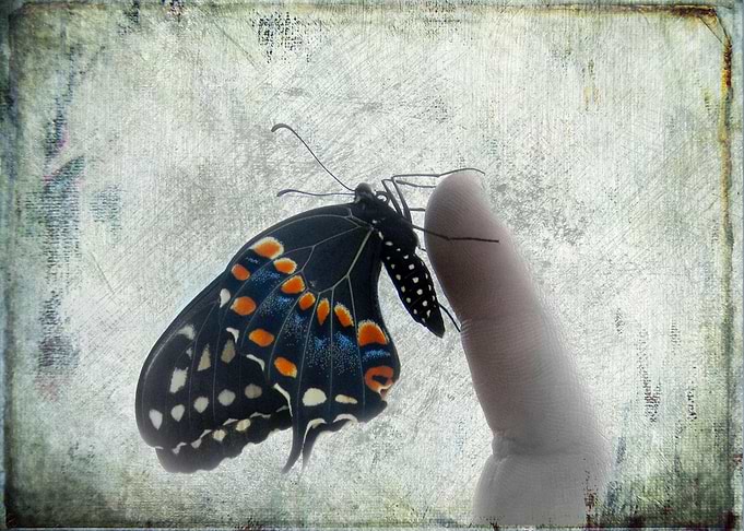 Freedom