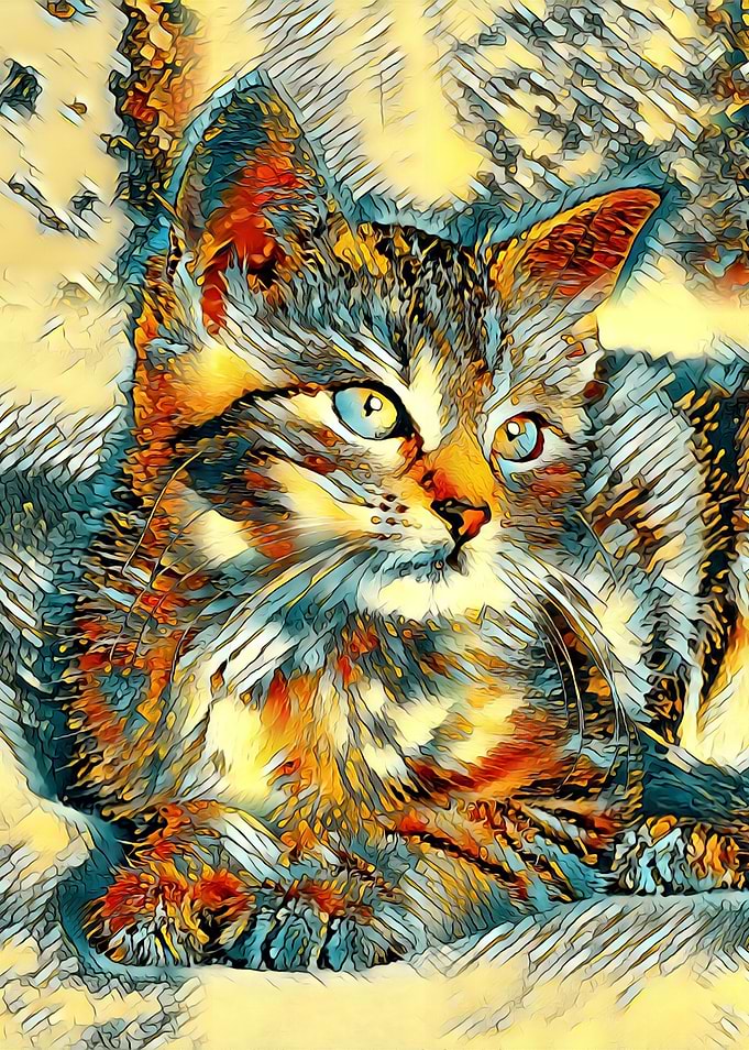 AnimalArt Cat 002