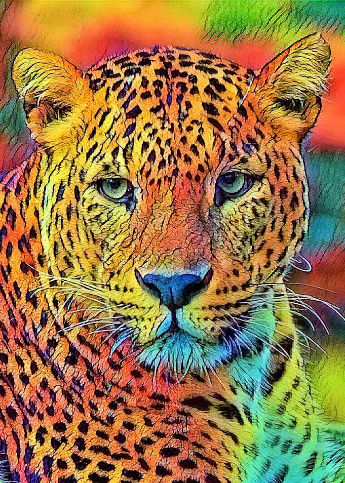 AnimalColor Leopard 001
