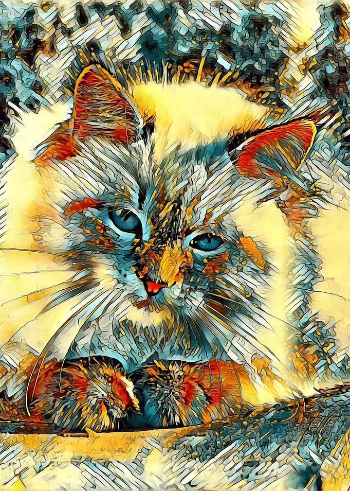 AnimalArt Cat 003