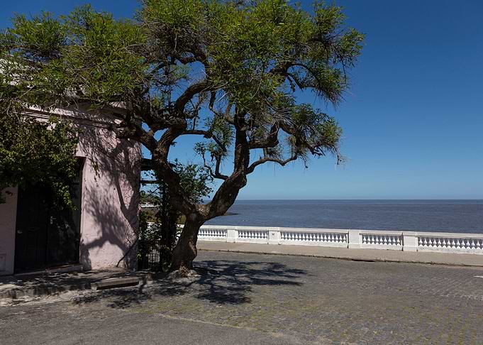Mar Del Plata