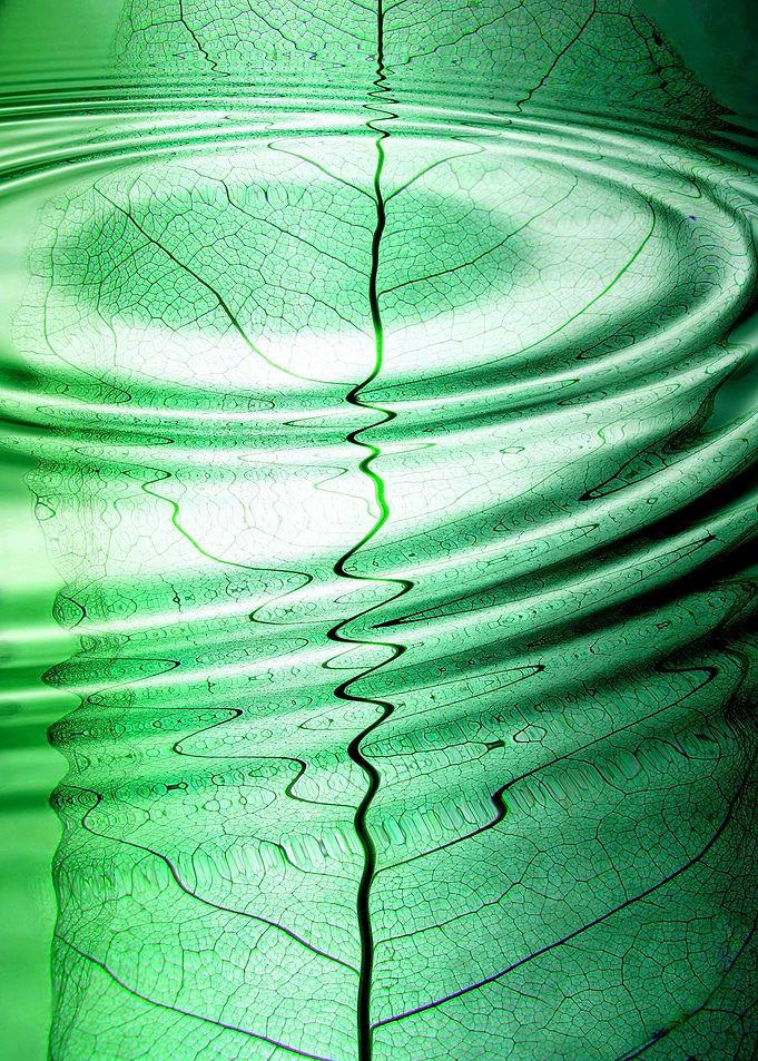 Green Dimention