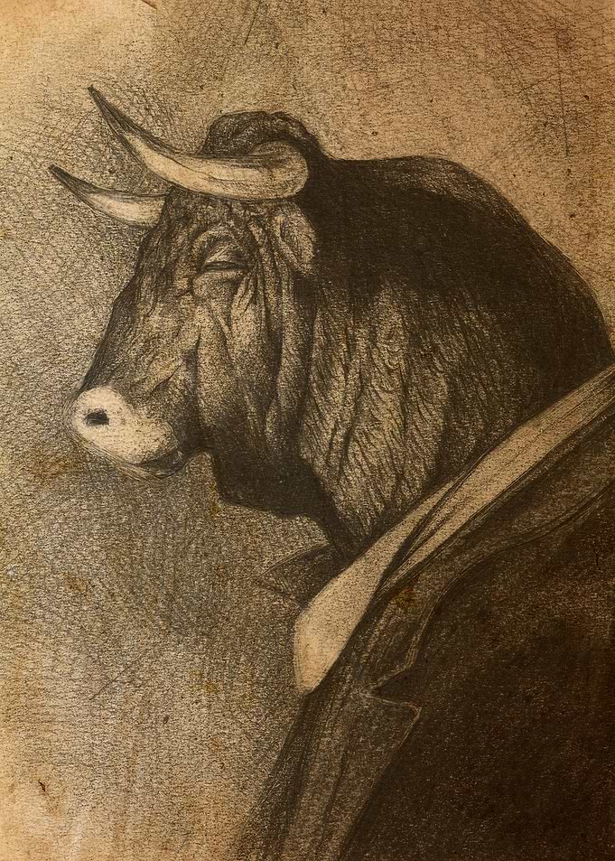 Mr Bull