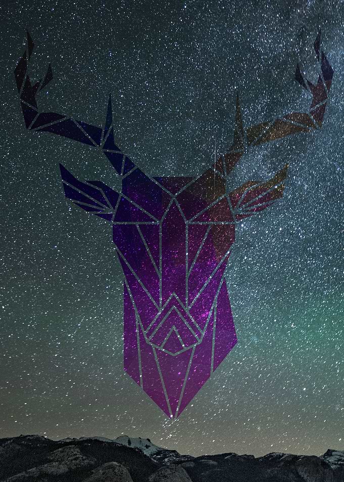 deer in the starry sky
