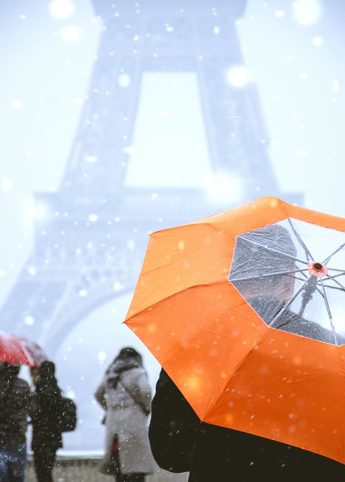 Winter Orange
